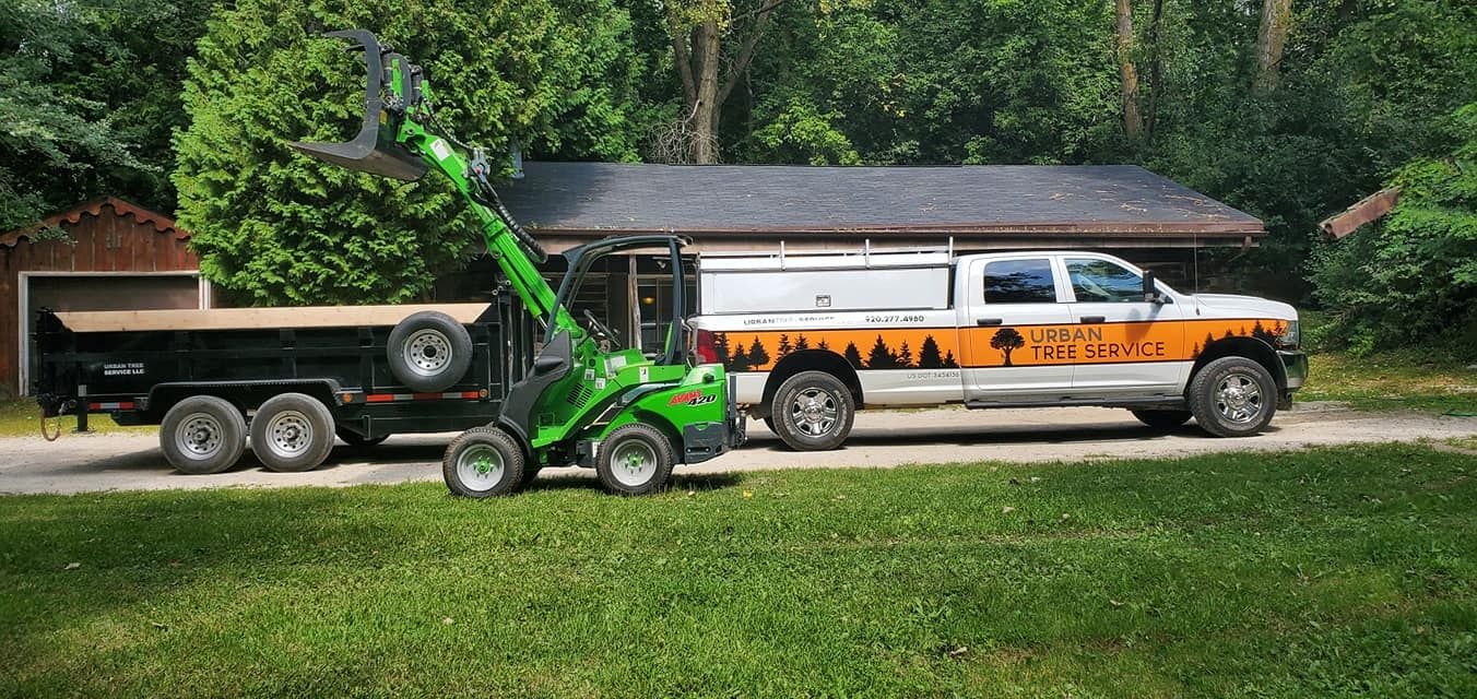 Urban Tree Service - trusted tree company in De Pere, Wisconsin; tree services in De Pere; tree company in Seymour; tree services in Seymour