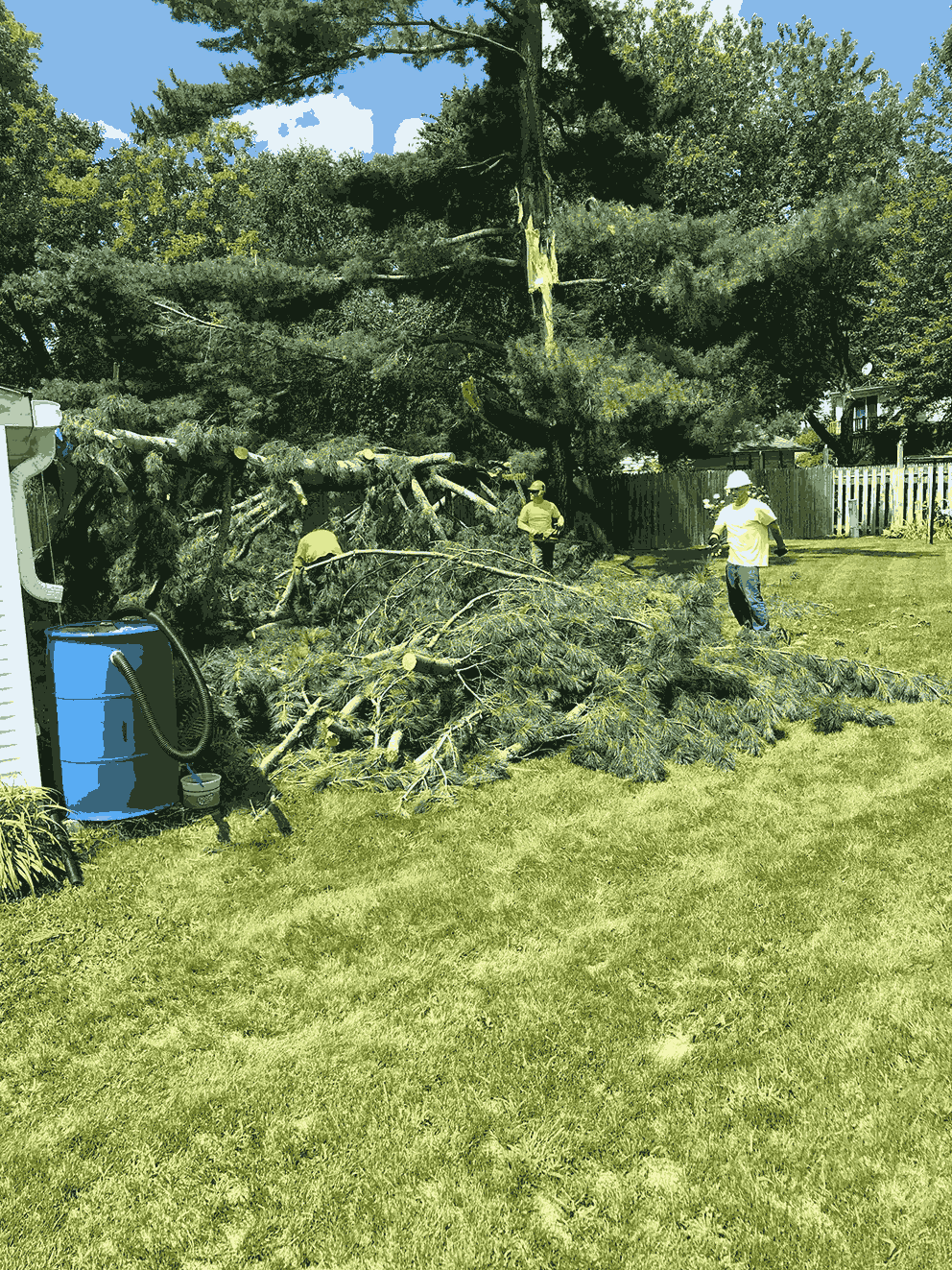Fast Emergency Storm Damage Tree Removal Green Bay WI | Urban Tree ...