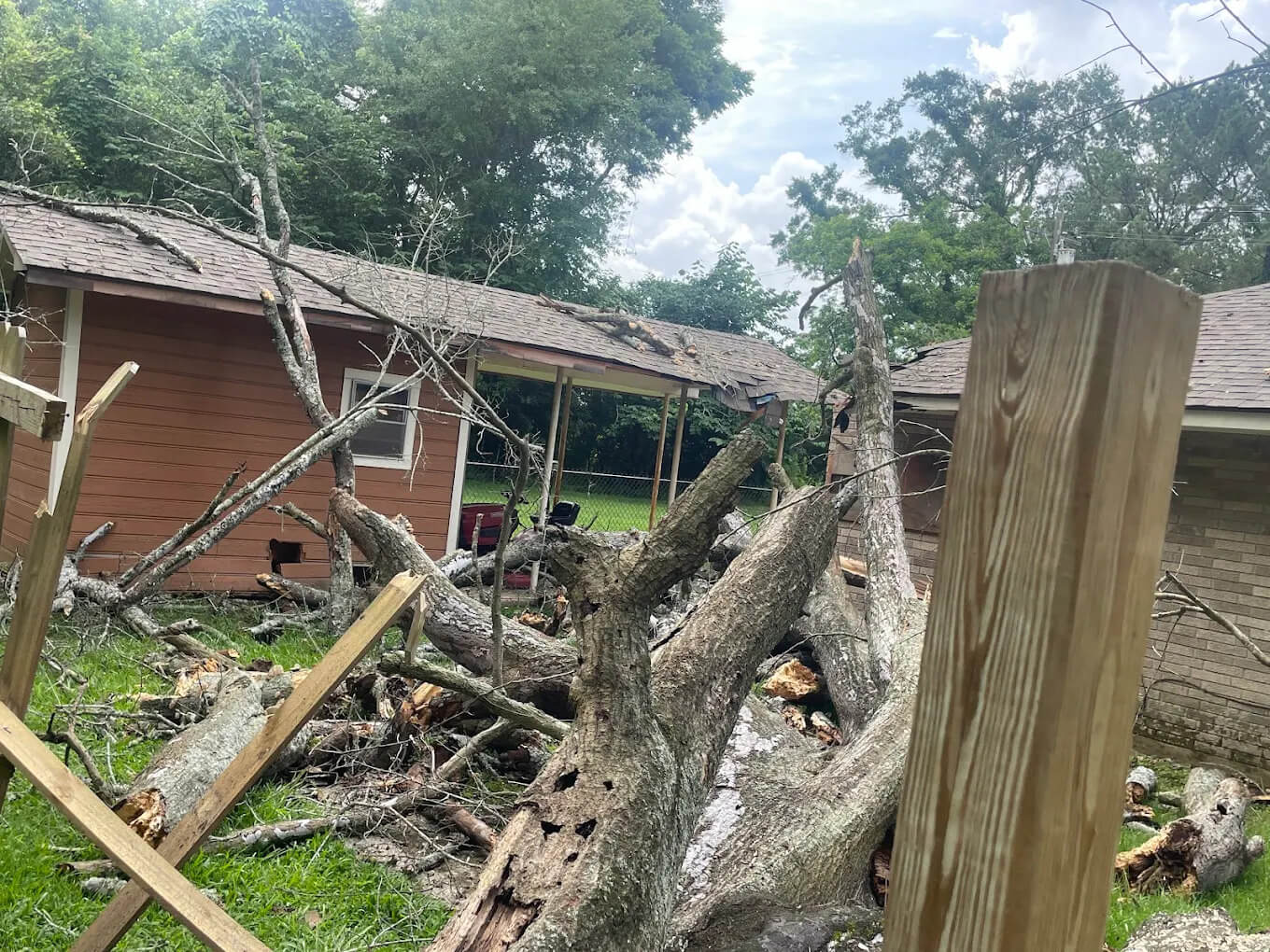 How to Handle Broken Tree Limbs or Another Emergency