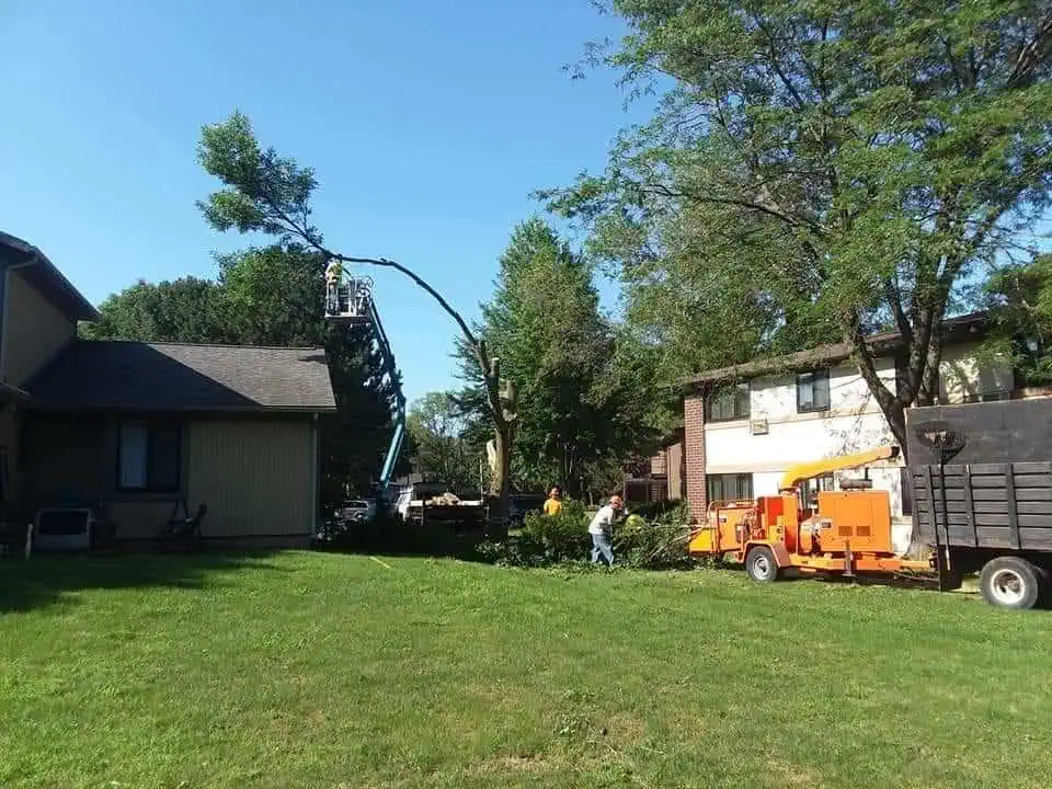 Professional tree service crew working in Green Bay WI