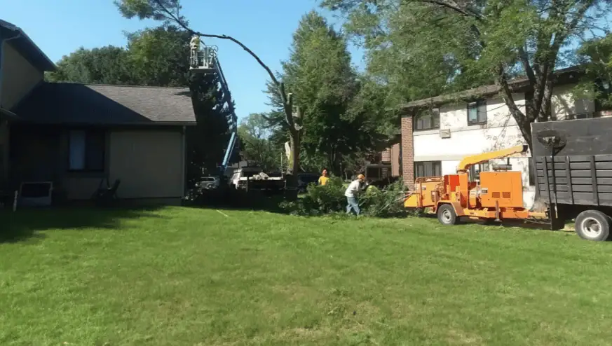 Urban Tree Service crew performing tree removal in Kaukauna Wisconsin
