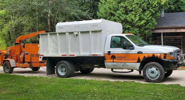 Tree Service in Freedom, WI - Urban Tree Service