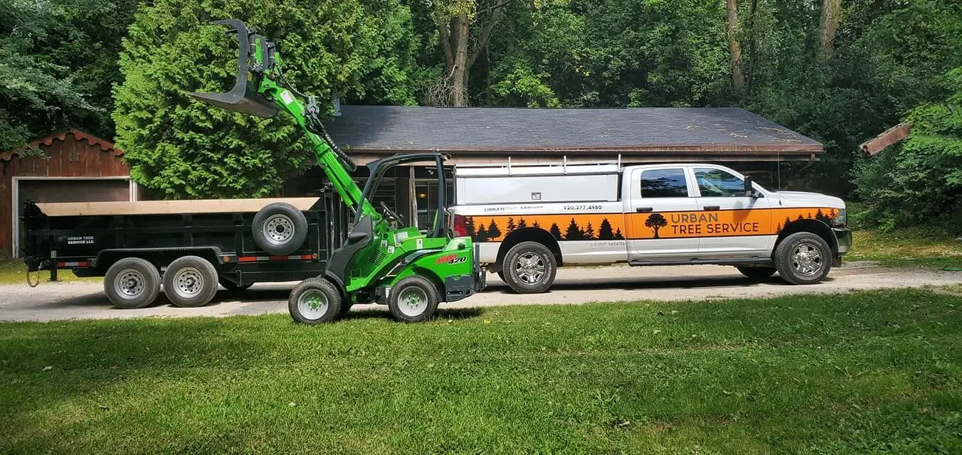 Urban Tree Service - trusted tree company in De Pere, Wisconsin; tree services in De Pere; tree company in Seymour; tree services in Seymour