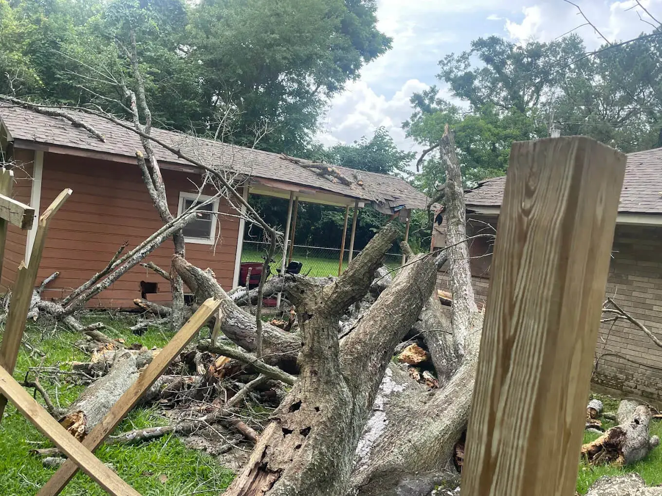 How to Handle Broken Tree Limbs or Another Emergency